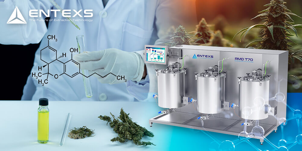 Understanding THC Remediation A Strategic Guide for Hemp Processors