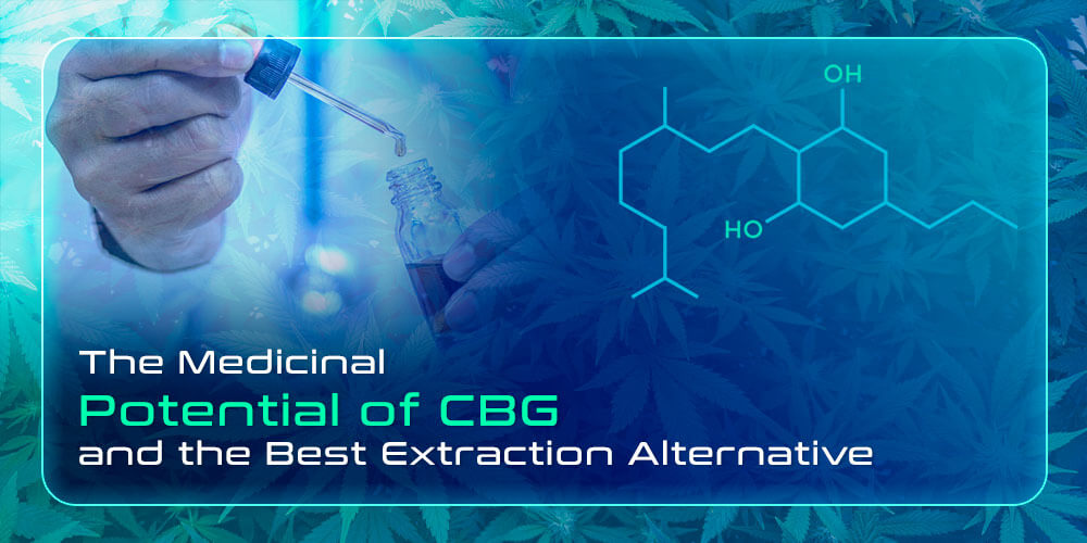 The Medicinal Potential of CBG and the Best Extraction Alternative