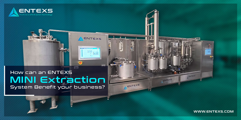 How Can an ENTEXS MINI Extraction System Benefit Your Business?