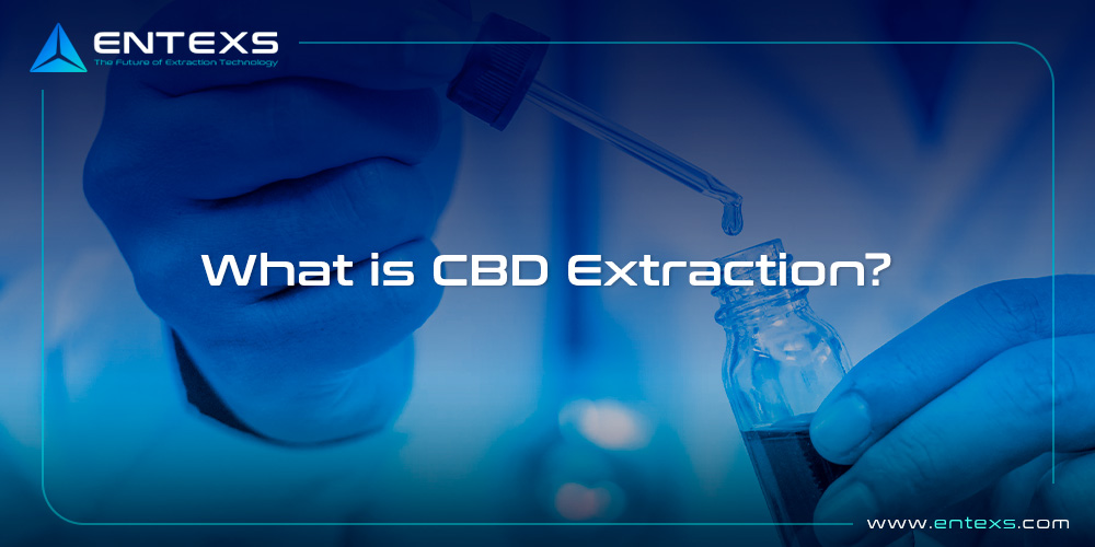 What is CBD Extraction?
