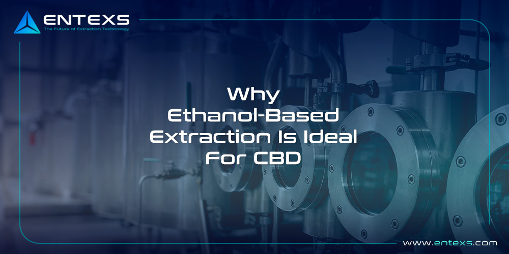 Why Ethanol Extraction Is Ideal For CBD