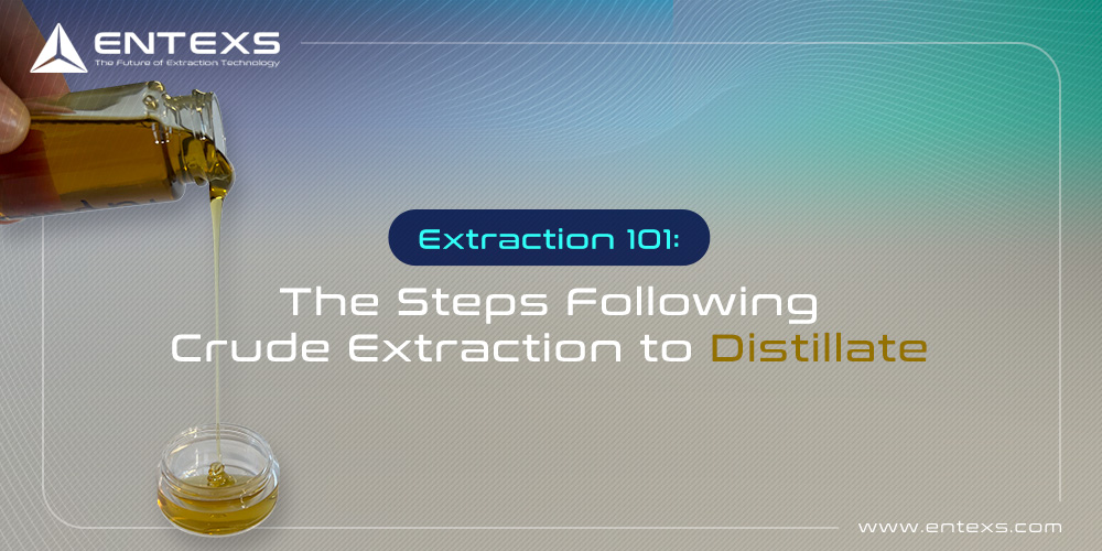 The Steps Following Crude Extraction to Distillate