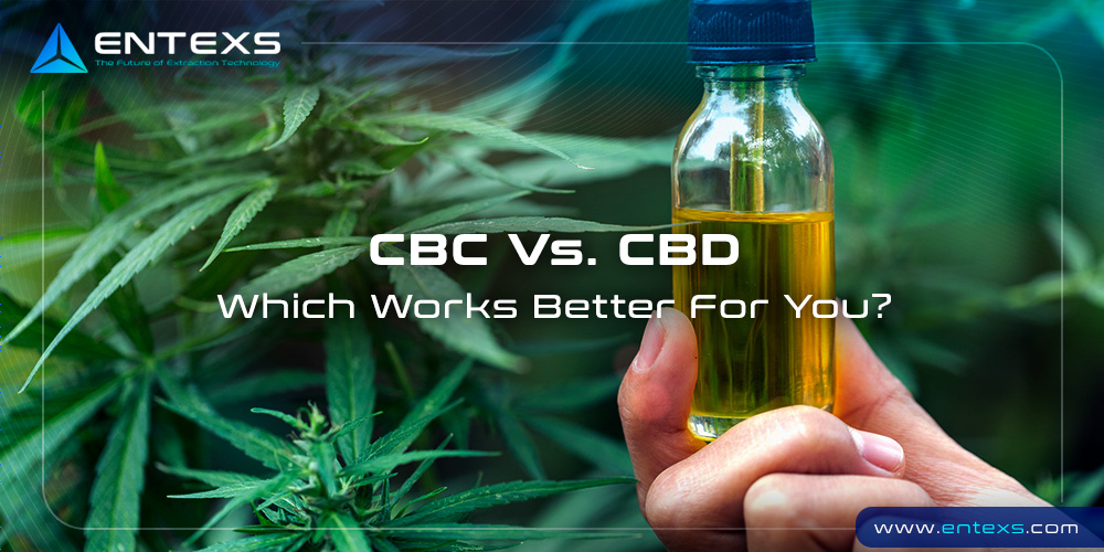 CBC Vs. CBD: Which Works Better For You?