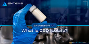 What is CBD Isolate?