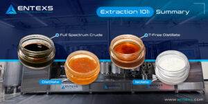 Extraction 101: Summary