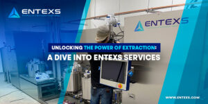 unlocking the power of extraction a dive into entexs services