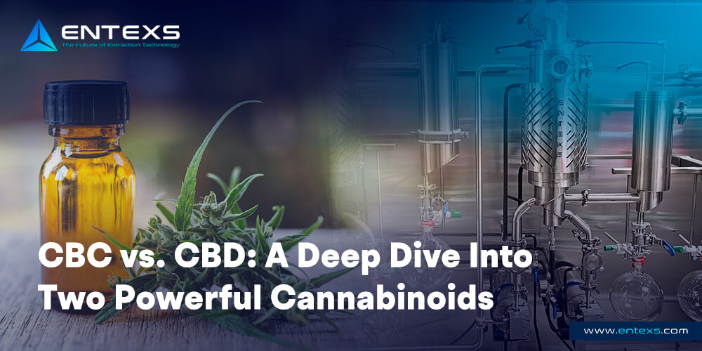 CBC vs. CBD: A Deep Dive Into Two Powerful Cannabinoids