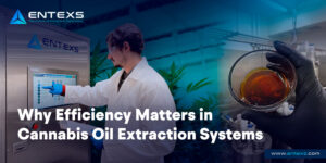 Ethanol Extraction