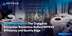 No Winterization: The Cryogenic Extraction Revolution Behind ENTEXS’ Efficiency and Quality Edge