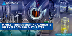 Market Trends Shaping Cannabis Oil Extracts and Distillates