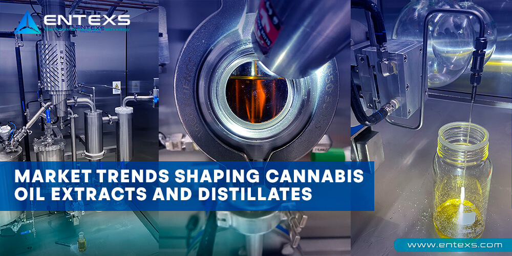 Market Trends Shaping Cannabis Oil Extracts and Distillates