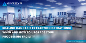 When & How to Upgrade Cannabis Extraction Facilities | ENTEXS