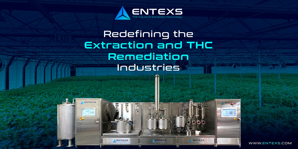 CBD Extraction Equipment - ENTEXS