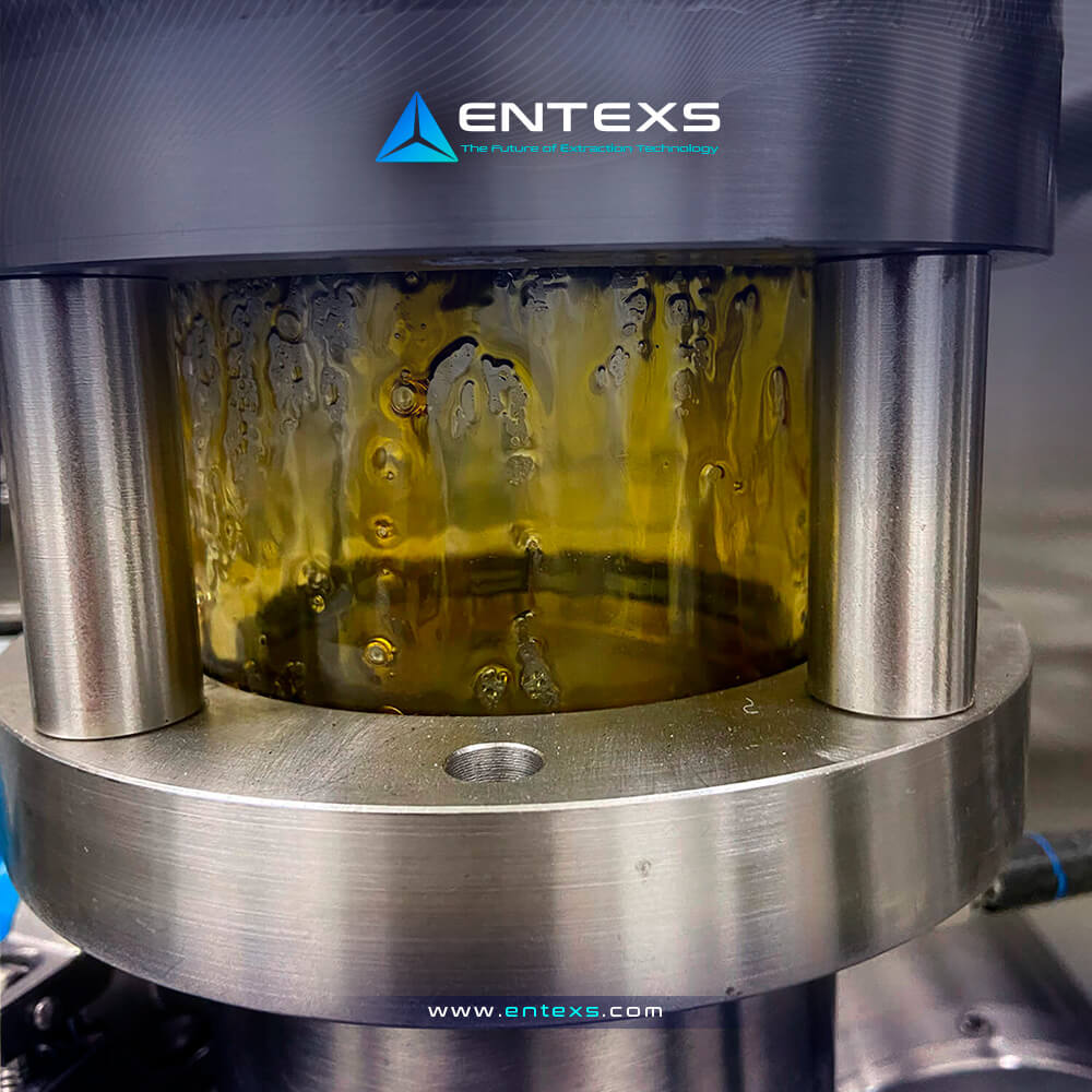 ENTEXS Corporation